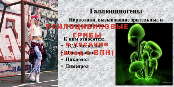 прущие крисы Гусь-Хрустальный