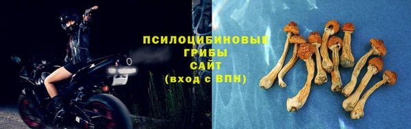 прущие крисы Гусь-Хрустальный