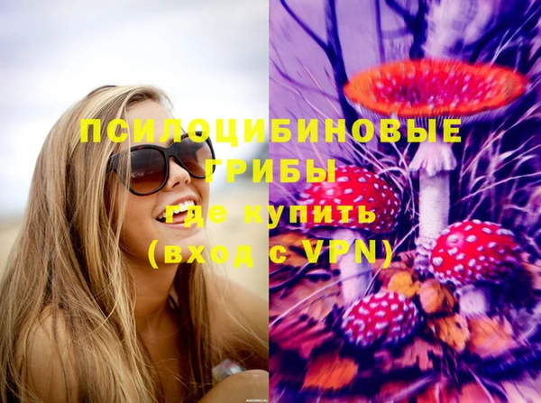 jwh Гусев