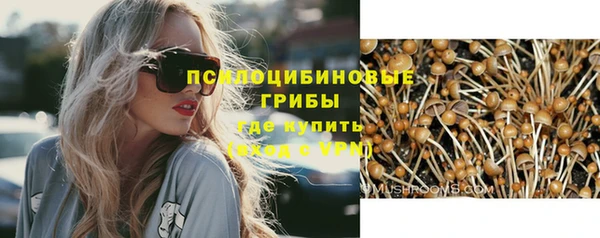 Альфа ПВП Дмитриев